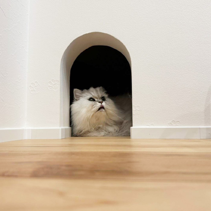 愛猫と暮らす家