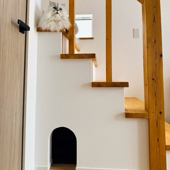 愛猫と暮らす家